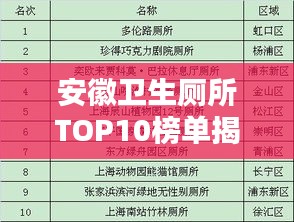 安徽卫生厕所TOP10榜单揭晓！
