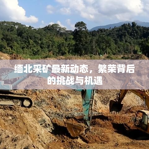 缅北采矿最新动态，繁荣背后的挑战与机遇