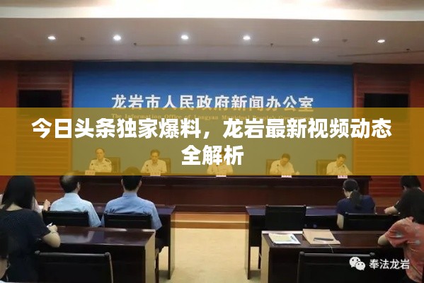 今日头条独家爆料，龙岩最新视频动态全解析
