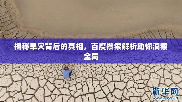 揭秘旱灾背后的真相，百度搜索解析助你洞察全局