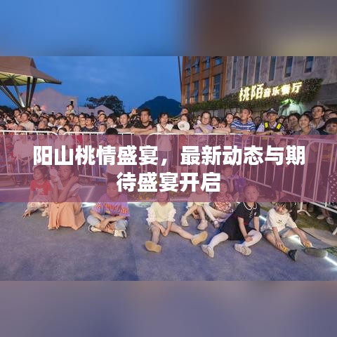 阳山桃情盛宴，最新动态与期待盛宴开启