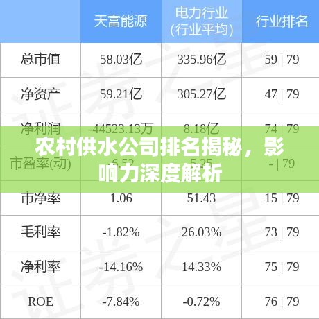农村供水公司排名揭秘，影响力深度解析