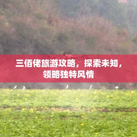 三佰佬旅游攻略，探索未知，领略独特风情