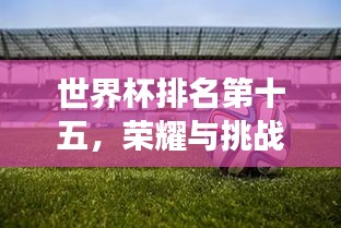 世界杯排名第十五，荣耀与挑战交织之际