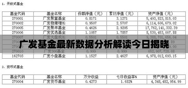 广发基金最新数据分析解读今日揭晓