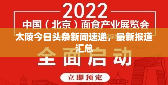 太陵今日头条新闻速递，最新报道汇总