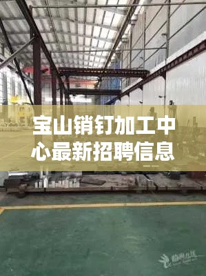 宝山销钉加工中心最新招聘信息揭秘！
