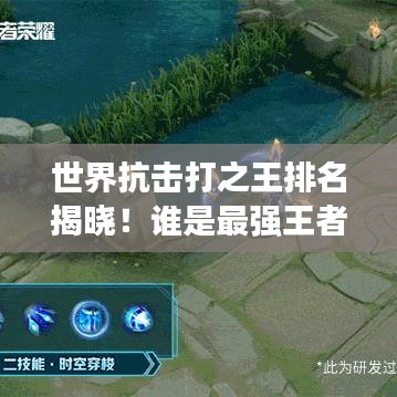 世界抗击打之王排名揭晓！谁是最强王者？