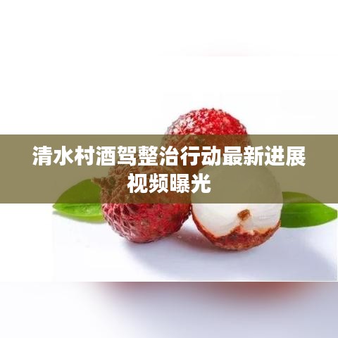 清水村酒驾整治行动最新进展视频曝光
