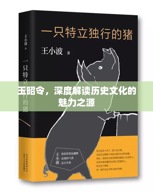 玉昭令，深度解读历史文化的魅力之源