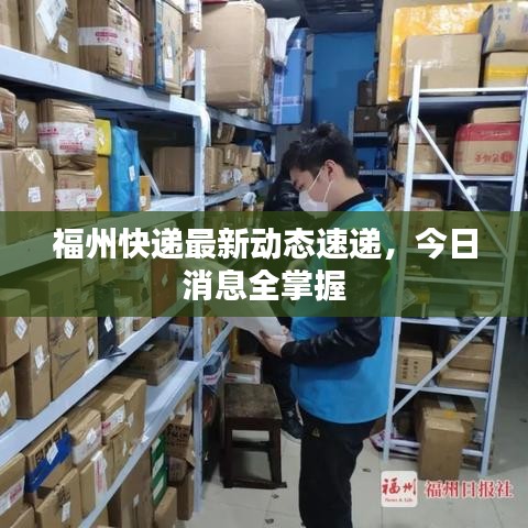 福州快递最新动态速递，今日消息全掌握