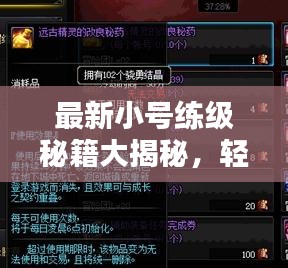 最新小号练级秘籍大揭秘，轻松上手，等级飞升攻略视频