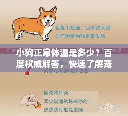 小狗正常体温是多少？百度权威解答，快速了解宠物健康知识！