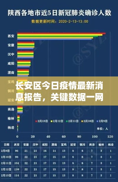 长安区今日疫情最新消息报告，关键数据一网打尽