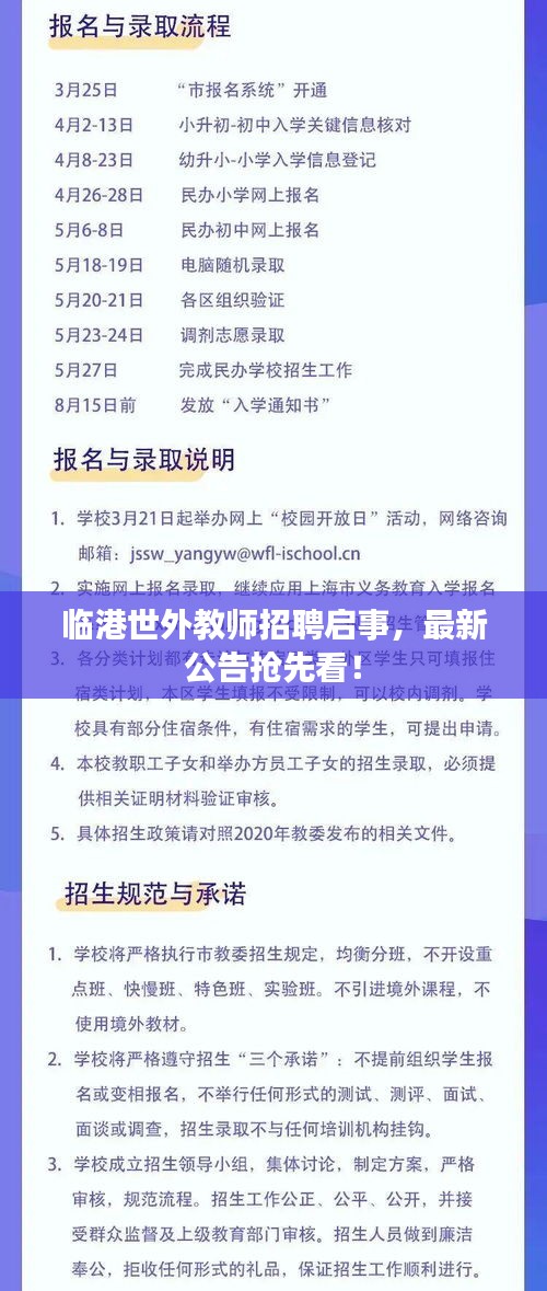 临港世外教师招聘启事，最新公告抢先看！
