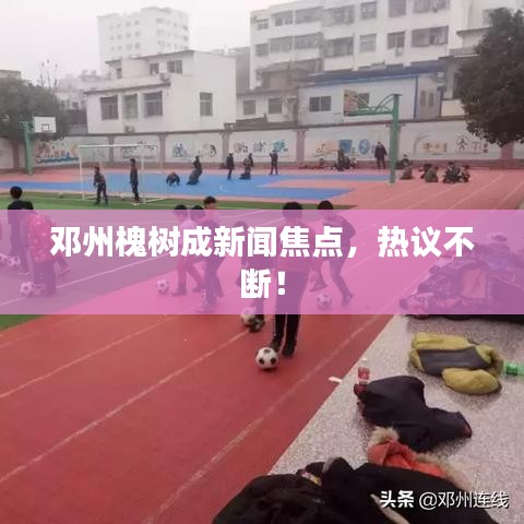 邓州槐树成新闻焦点，热议不断！
