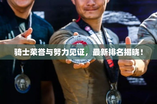 骑士荣誉与努力见证，最新排名揭晓！