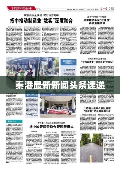 秦港最新新闻头条速递