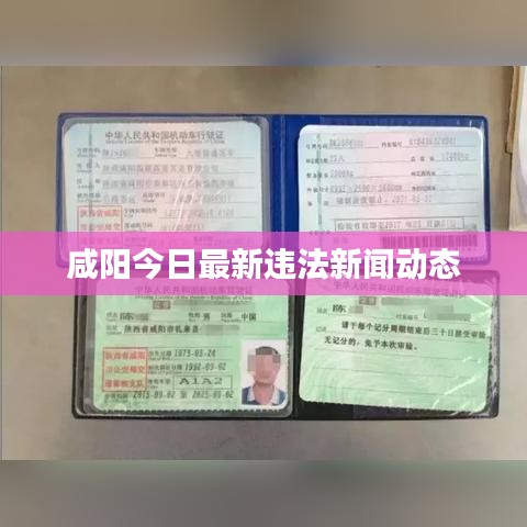 咸阳今日最新违法新闻动态