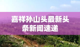 嘉祥孙山头最新头条新闻速递