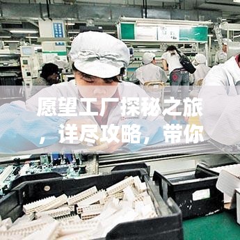 愿望工厂探秘之旅，详尽攻略，带你玩转工厂之旅！