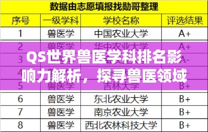 QS世界兽医学科排名影响力解析，探寻兽医领域的全球顶尖实力