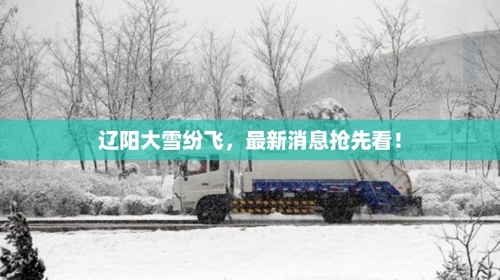 辽阳大雪纷飞，最新消息抢先看！
