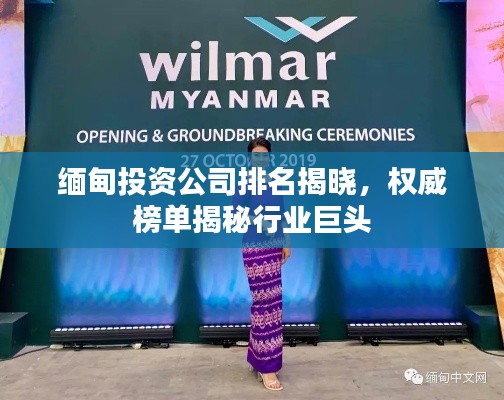 缅甸投资公司排名揭晓，权威榜单揭秘行业巨头
