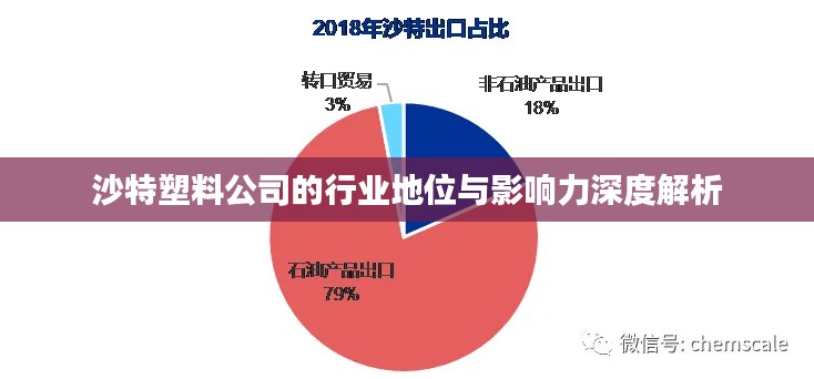 沙特塑料公司的行业地位与影响力深度解析