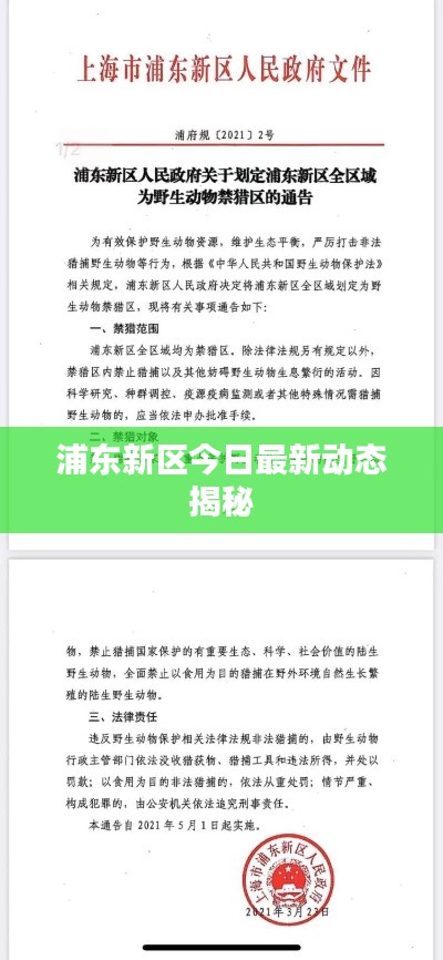 浦东新区今日最新动态揭秘
