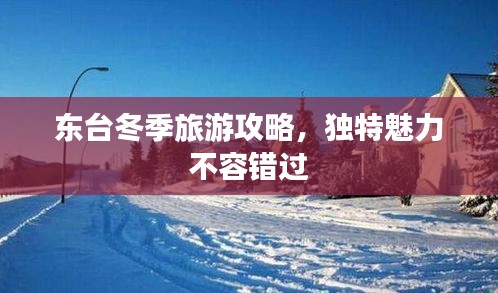东台冬季旅游攻略，独特魅力不容错过