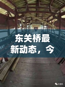东关桥最新动态，今日消息一览