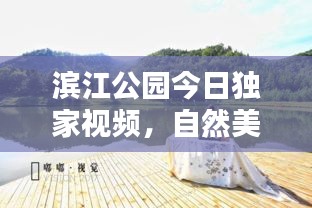 滨江公园今日独家视频，自然美景与人文活力的和谐共融