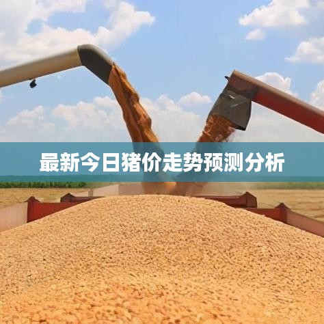 最新今日猪价走势预测分析