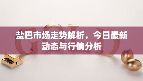盐巴市场走势解析，今日最新动态与行情分析