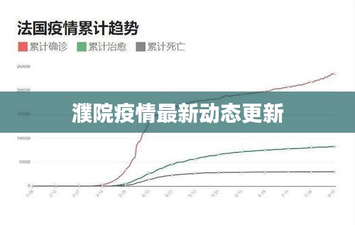 濮院疫情最新动态更新