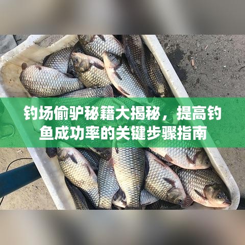 钓场偷驴秘籍大揭秘，提高钓鱼成功率的关键步骤指南