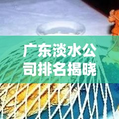 广东淡水公司排名揭晓，行业影响力深度解析