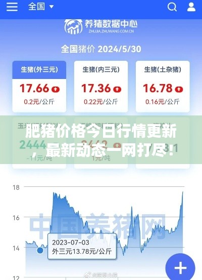 肥猪价格今日行情更新，最新动态一网打尽！