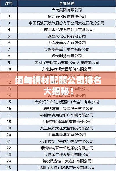缅甸钢材配额公司排名大揭秘！