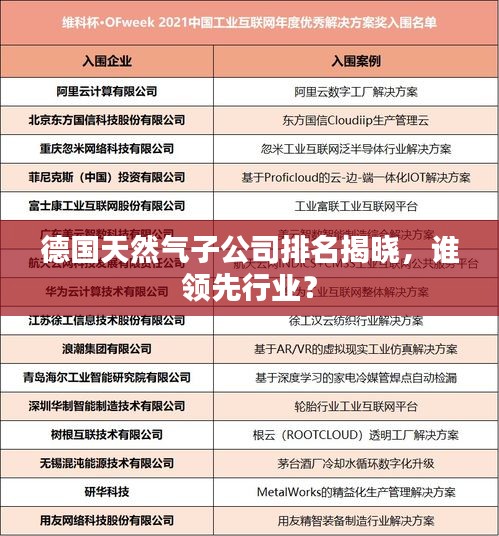 德国天然气子公司排名揭晓，谁领先行业？