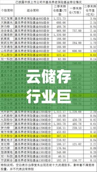 云储存行业巨头排名揭秘，十大公司榜单