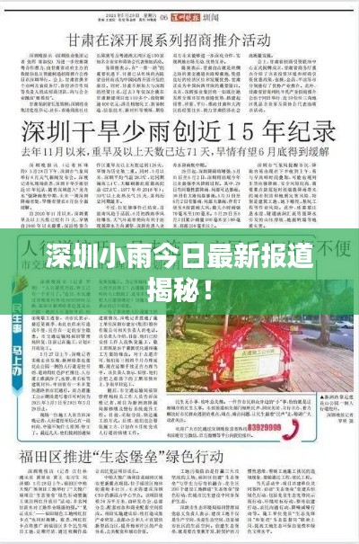 深圳小雨今日最新报道揭秘！