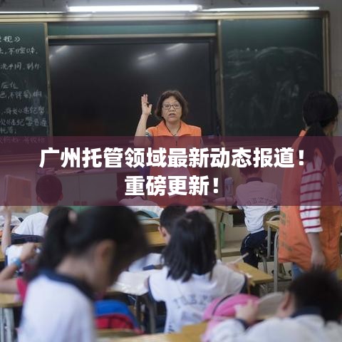 广州托管领域最新动态报道！重磅更新！