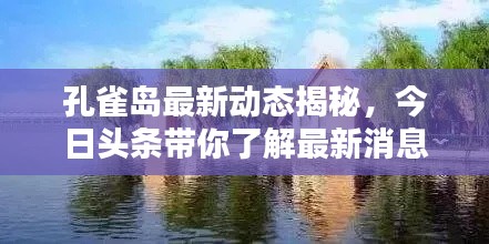 孔雀岛最新动态揭秘，今日头条带你了解最新消息！