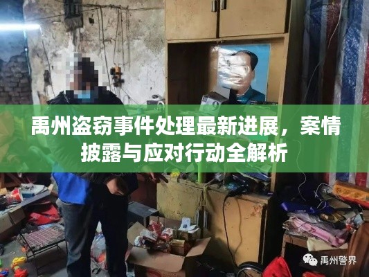 禹州盗窃事件处理最新进展，案情披露与应对行动全解析