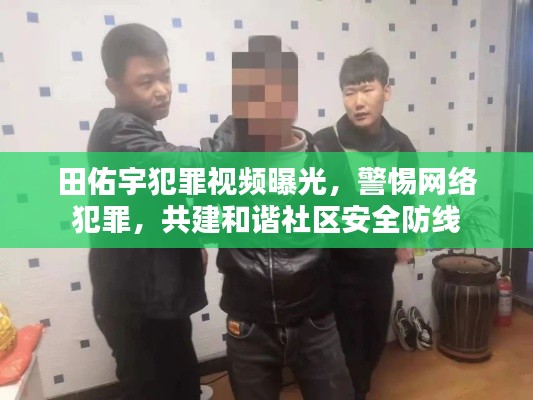田佑宇犯罪视频曝光，警惕网络犯罪，共建和谐社区安全防线