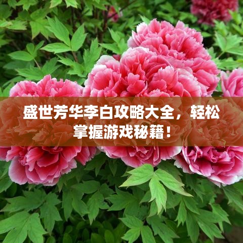盛世芳华李白攻略大全，轻松掌握游戏秘籍！