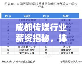 成都传媒行业薪资揭秘，排名前十职位深度解析