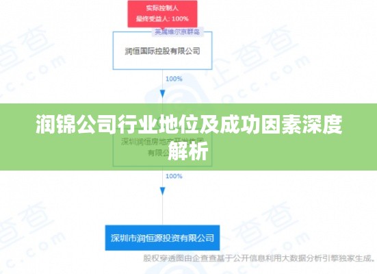 润锦公司行业地位及成功因素深度解析